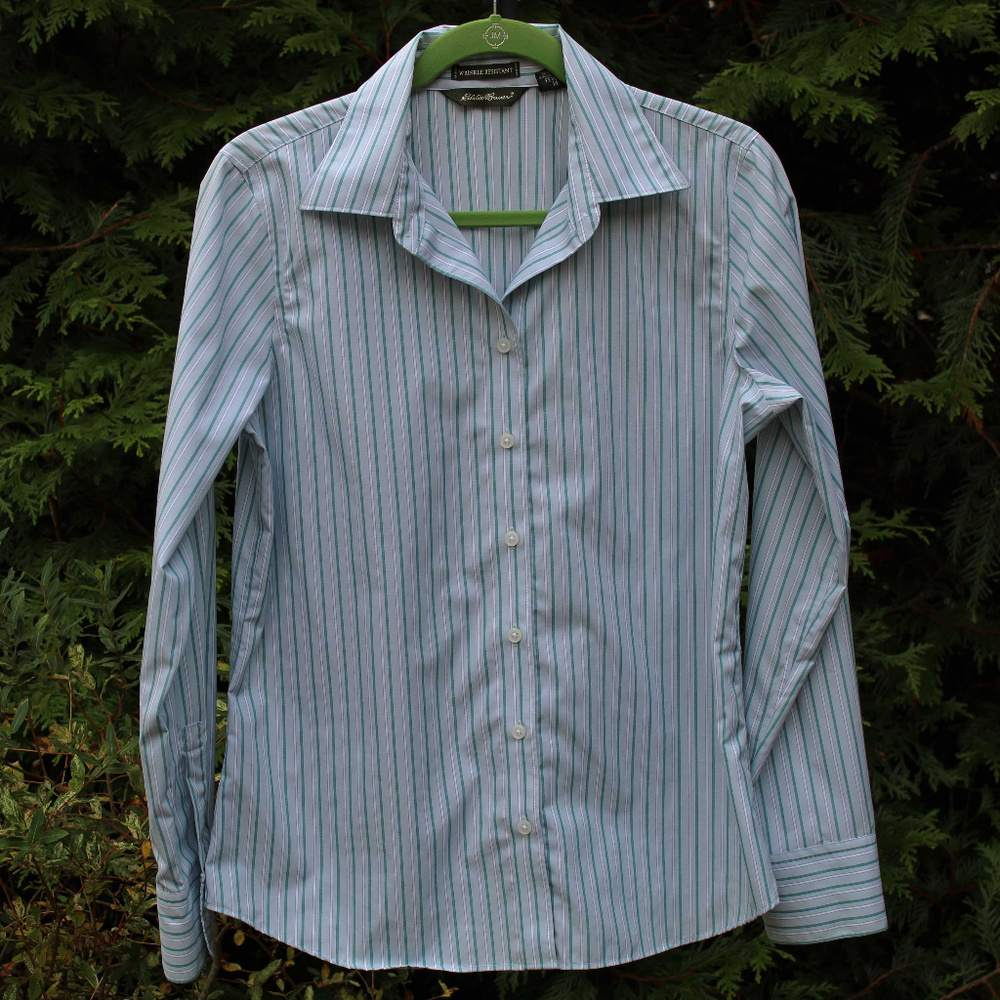 Eddie Bauer Wrinkle-Resistant Striped Buttondown Top (M)